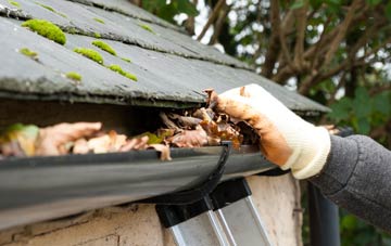 gutter cleaning Stockwitch Cross, Somerset