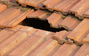 roof repair Stockwitch Cross, Somerset